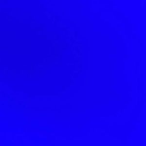 Meet your Posher, Lilliana